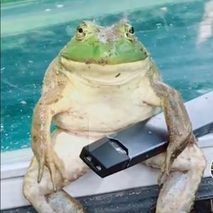 Meet your Posher, Brendan